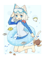736