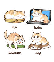 739