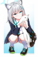 6809