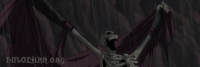 161