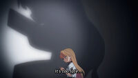 256