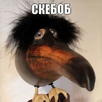 305